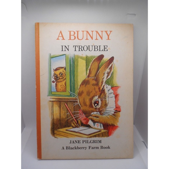 The Potato Press Other - A Bunny in Trouble Jane Pilgrim‎ Blackberry Farm Book 1973 Vintage Potato Press